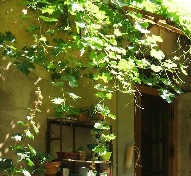 La Vigne Bleue Hotel Olonzac ภายนอก รูปภาพ