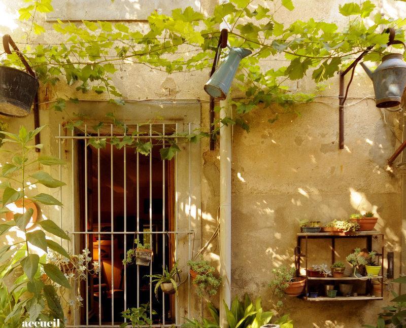 La Vigne Bleue Hotel Olonzac ภายนอก รูปภาพ